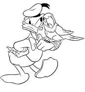 coloriage donald et son perroquet